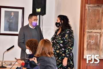 Pleno ordinario de diciembre de 2020/Francisco Javier Santana.